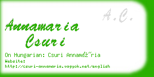 annamaria csuri business card